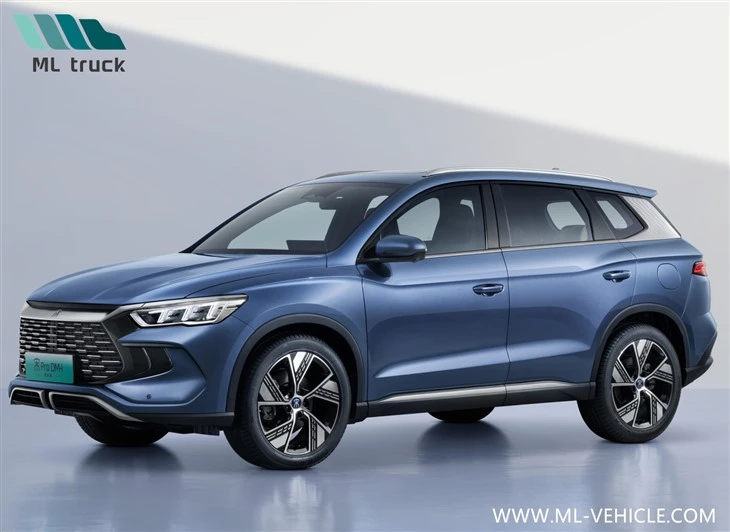 BYD CANZONE PRO