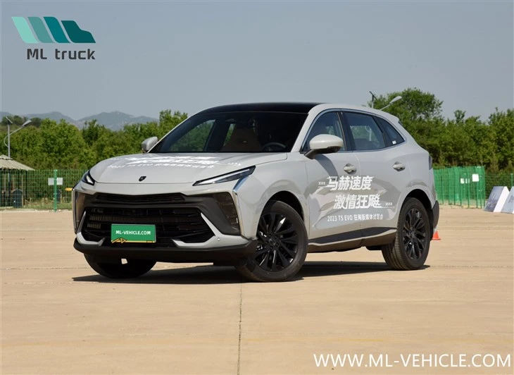 Dong Feng Forthing T5 EVO