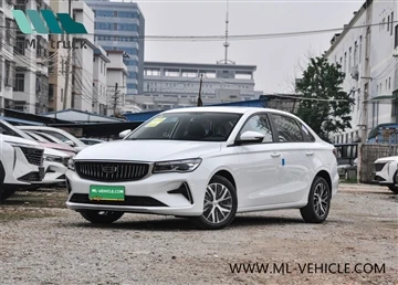 Geely Direct Champion Edition 2023 Modello rilasciato