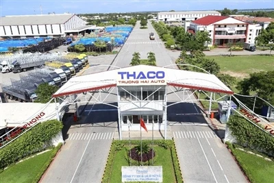 Il gruppo vietnamita Truong Hai valuta la possibilità di vendere la quota di ...