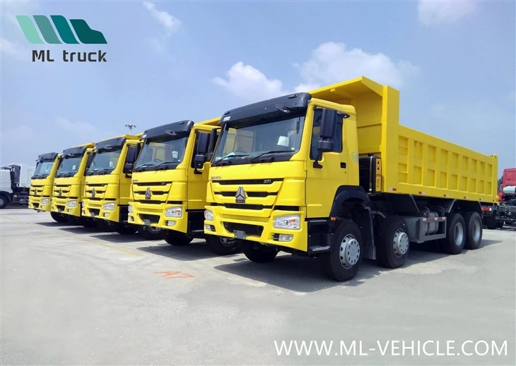 Sinotruk HOWO Hot Sale Dr Congo 8X4 Reliable Mining Dump Truck