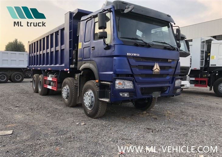 Sinotruk HOWO Hot Sale Dr Congo 8X4 Reliable Mining Dump Truck
