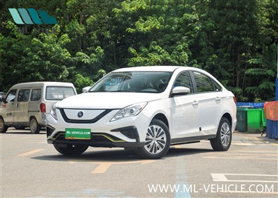DongFeng Forthing S50 EV