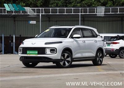 SAICGM WuLing XingYun HEV