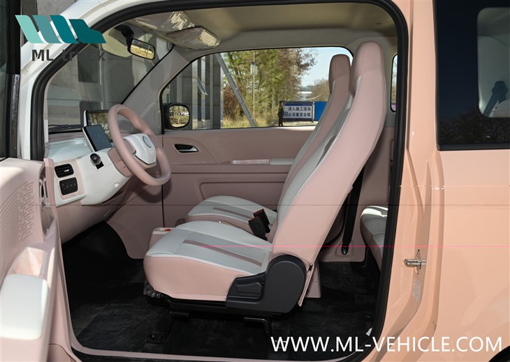 2024 ZHIDO Rainbow EV Car