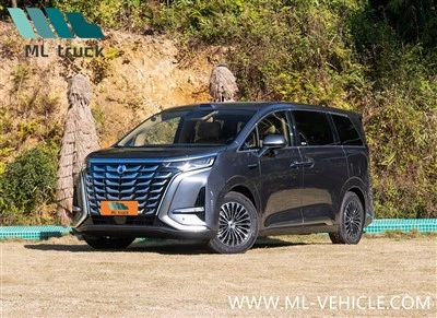 2025 BYD Denza D9 EV monovolume